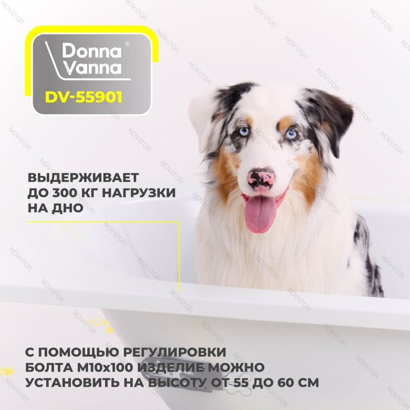 150x70 см ВИЗ Donna Vanna DV55901, пьедестал OP01200