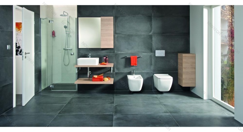 Roca Mila 32700B000, 50 cм