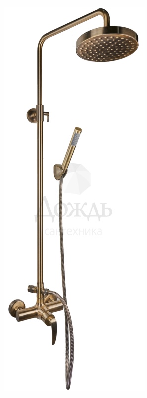 Coffer Axco MS-B2312, бронза купить за 17 400 руб. Купить Coffer Axco MS-B2312, бронза в интернет-магазине Дождь