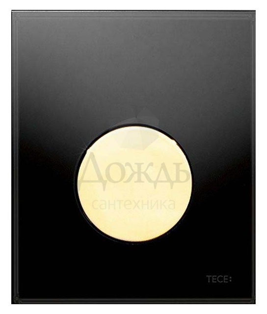 TECEloop Urinal 9242658, черный/позолоченный купить за 29 600 руб. Купить TECEloop Urinal 9242658, черный/позолоченный в интернет-магазине Дождь