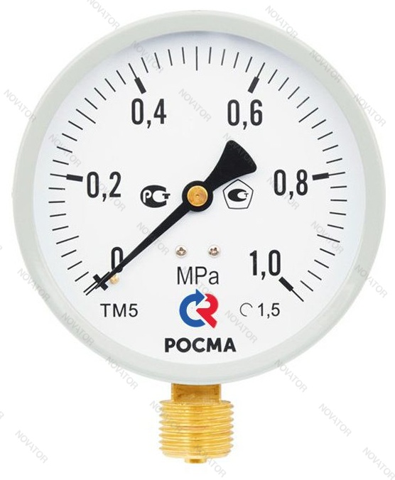 Росма ТМ-510Р.00 M2, нр 1/2"х16 бар (100 мм)