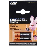 Купить Duracell Basic AAA 1.5V LR03 CN, 2шт в интернет-магазине Дождь