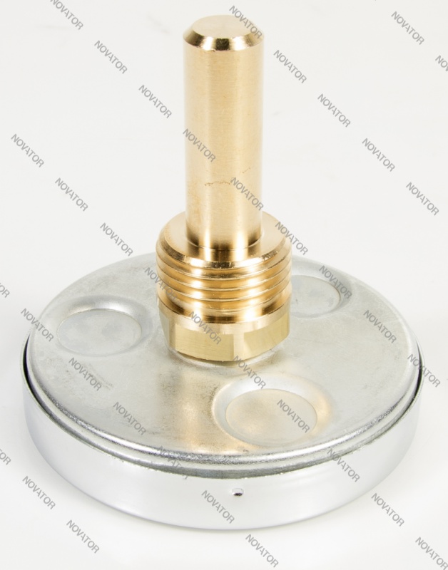 Watts 10005800 63/50 , нр.1/2, 10 бар, 63мм