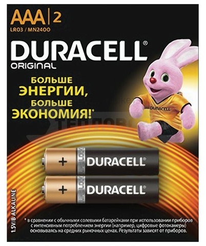 Купить Duracell Basic AAA, 1.5V LR03, 2шт в интернет-магазине Тепловоз