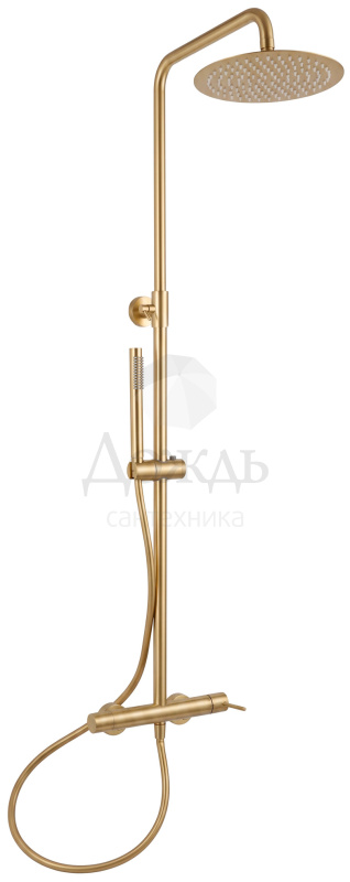 Купить Otgon Алия M91875-8024-14, золото матовое в интернет-магазине Дождь