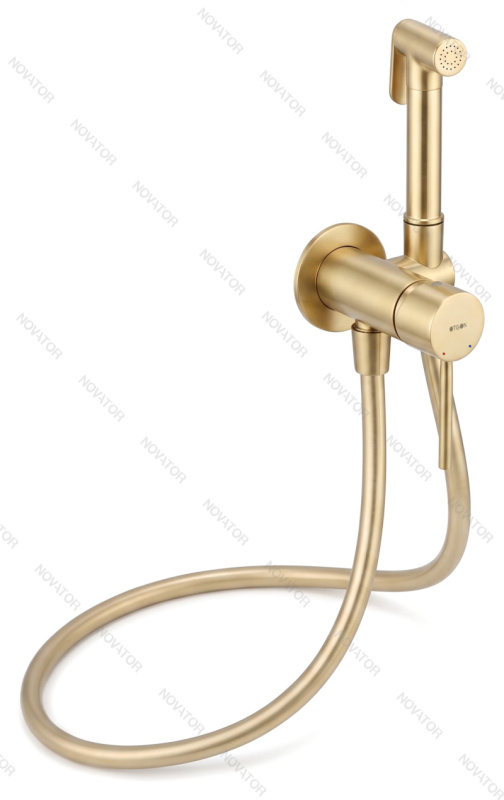 Otgon Алия M611008-8024-14, золото матовое