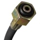 Otgon RP-50
