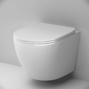 Купить AM.PM Like 2.0 C801901SC, AquaSpin 2.0 в интернет-магазине Дождь